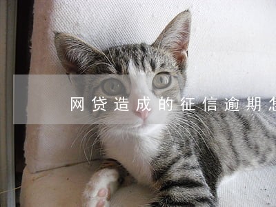 网贷造成的征信逾期怎么办 网贷造成的征信逾期怎么办