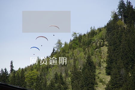 网贷逾期