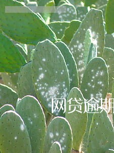 网贷逾期1000以下会上门吗 网贷逾期1000以下会上门吗