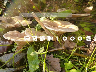 网贷逾期1000会立案