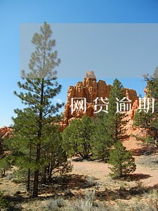 网贷逾期1000元三年了 网贷逾期1000元三年了