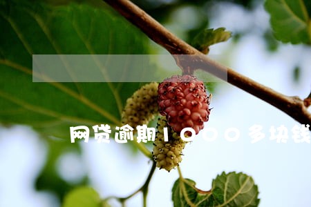 网贷逾期1000多块钱