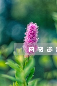 网贷逾期1000截图