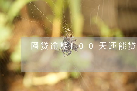 网贷逾期100天还能贷款吗 网贷逾期100天还能贷款吗