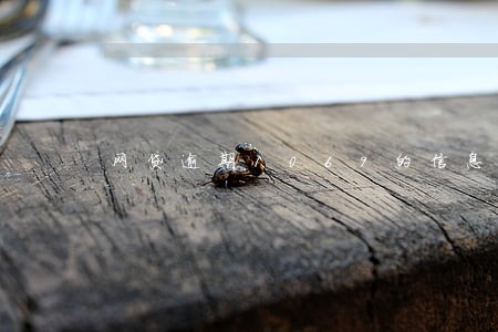 网贷逾期1069的信息 网贷逾期1069的信息