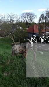 网贷逾期1069短信上法庭 网贷逾期1069短信上法庭