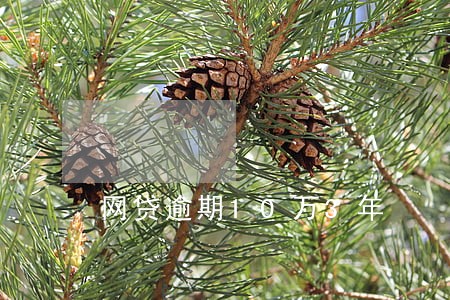 网贷逾期10万3年