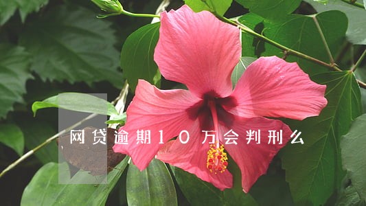 网贷逾期10万会判刑么 网贷逾期10万会判刑么