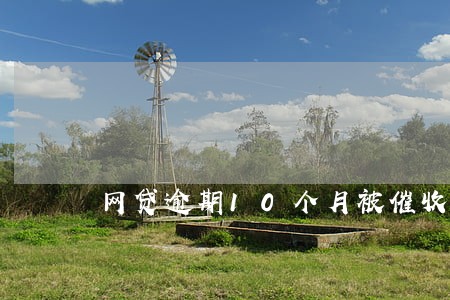 网贷逾期10个月被催收 网贷逾期10个月被催收