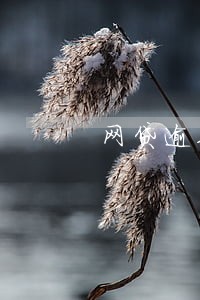 网贷逾期10几个 网贷逾期10几个