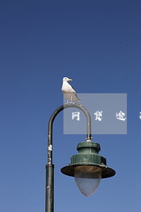 网贷逾期10天不催收 网贷逾期10天不催收