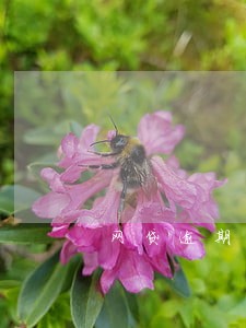 网贷逾期10天会上征信 网贷逾期10天会上征信