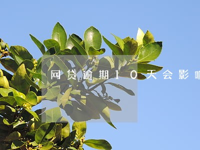网贷逾期10天会影响买车吗 网贷逾期10天会影响买车吗