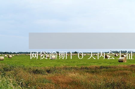 网贷逾期10天内会上征信吗 网贷逾期10天内会上征信吗
