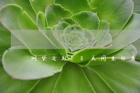 网贷逾期10天同意协商 网贷逾期10天同意协商