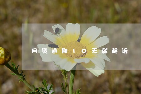 网贷逾期10天就起诉 网贷逾期10天就起诉