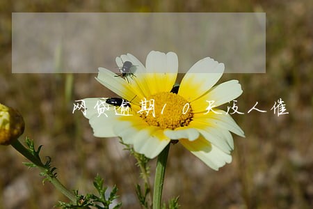 网贷逾期10天没人催 网贷逾期10天没人催