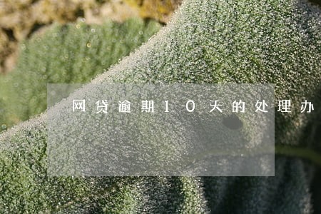 网贷逾期10天的处理办法 网贷逾期10天的处理办法