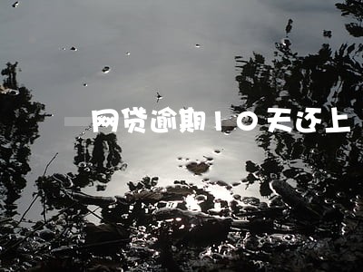 网贷逾期10天还上 网贷逾期10天还上