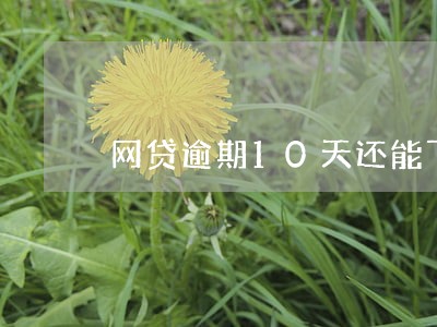 网贷逾期10天还能下的口子 网贷逾期10天还能下的口子