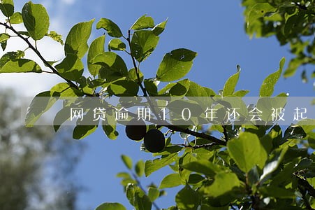 网贷逾期10年还会被起诉吗 网贷逾期10年还会被起诉吗