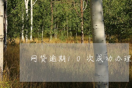 网贷逾期10次成功办理房贷 网贷逾期10次成功办理房贷