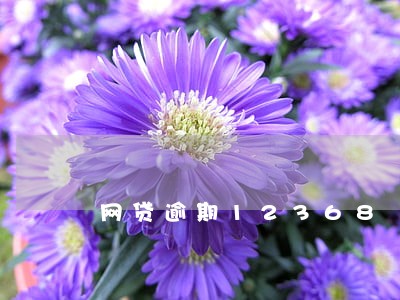 网贷逾期12368 网贷逾期12368
