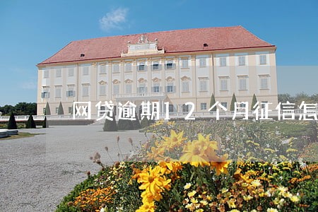网贷逾期12个月征信怎么办 网贷逾期12个月征信怎么办