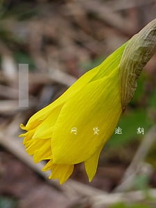 网贷逾期12天会怎样 网贷逾期12天会怎样