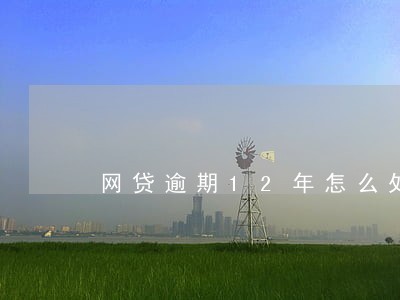 网贷逾期12年怎么处理 网贷逾期12年怎么处理