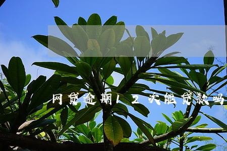 网贷逾期12次能贷款吗 网贷逾期12次能贷款吗