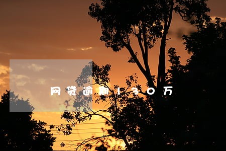 网贷逾期130万 网贷逾期130万