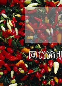 网贷逾期13个月 网贷逾期13个月