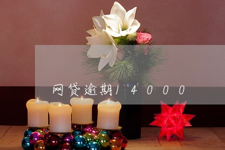 网贷逾期14000 网贷逾期14000