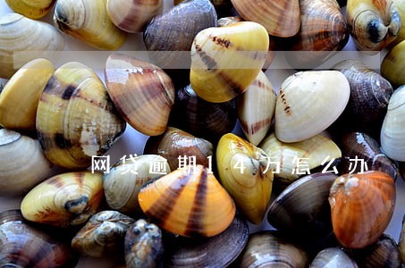 网贷逾期14万怎么办 网贷逾期14万怎么办