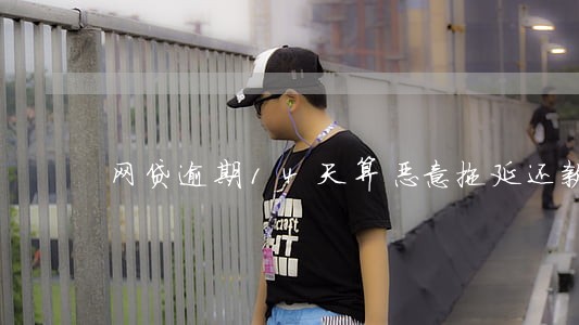 网贷逾期14天算恶意拖延还款么 网贷逾期14天算恶意拖延还款么