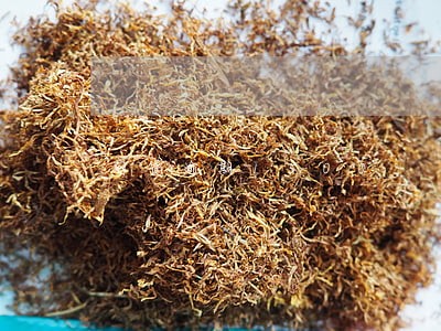 网贷逾期1500 网贷逾期1500