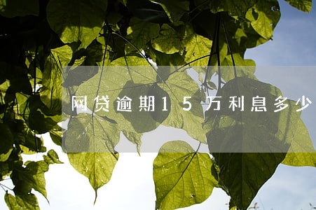 网贷逾期15万利息多少 网贷逾期15万利息多少