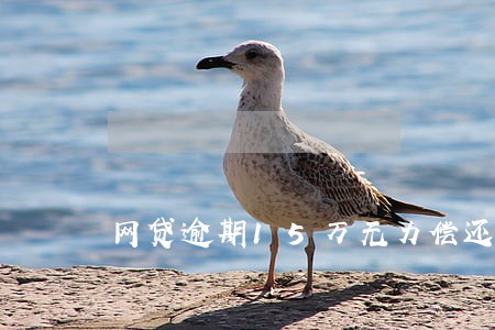 网贷逾期15万无力偿还