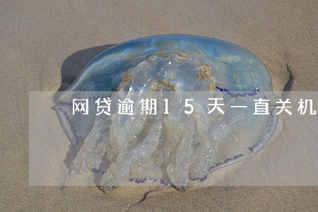 网贷逾期15天一直关机 网贷逾期15天一直关机
