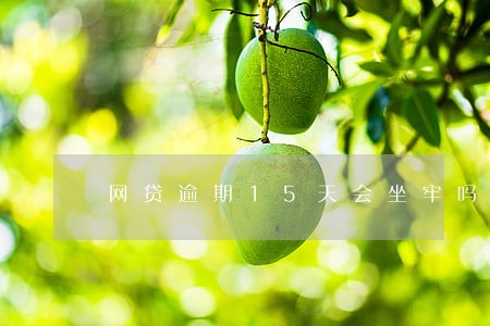 网贷逾期15天会坐牢吗 网贷逾期15天会坐牢吗