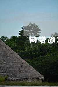 网贷逾期15天关了 网贷逾期15天关了