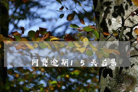 网贷逾期15天后果