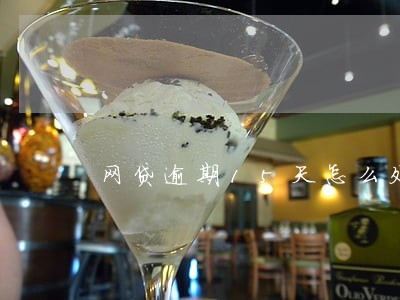 网贷逾期15天怎么处理 网贷逾期15天怎么处理