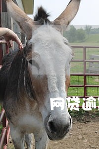 网贷逾期15天的后果 网贷逾期15天的后果