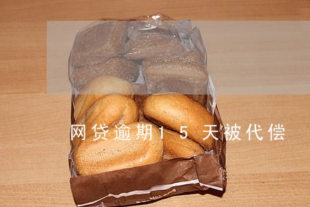 网贷逾期15天被代偿