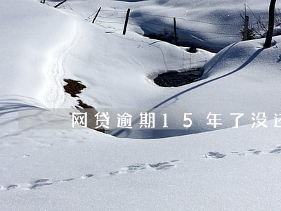 网贷逾期15年了没还了 网贷逾期15年了没还了