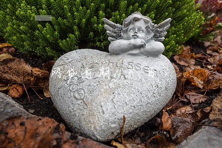 网贷逾期15日