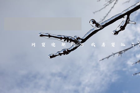 网贷逾期15次房贷批了 网贷逾期15次房贷批了