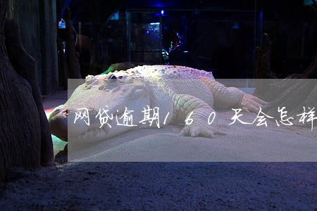 网贷逾期160天会怎样 网贷逾期160天会怎样